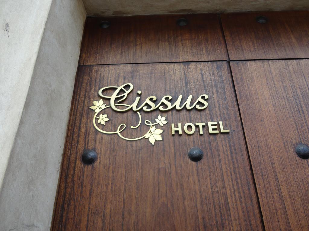 Cissus Hotel Boutique (Adults Only) Antigua Δωμάτιο φωτογραφία