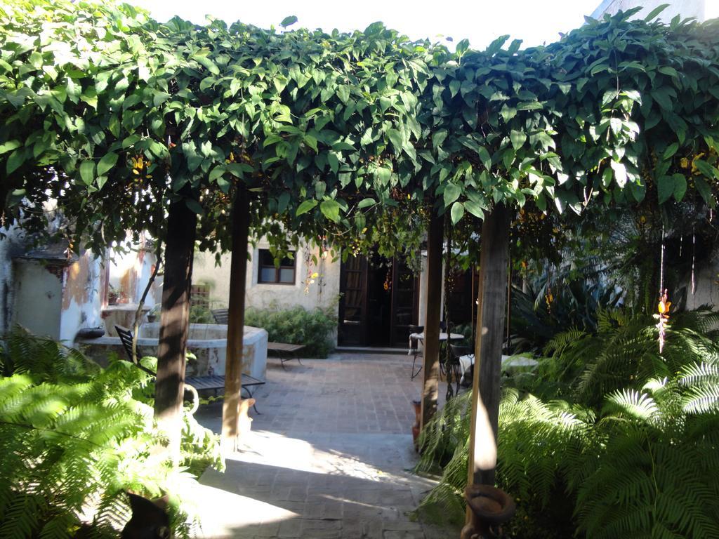 Cissus Hotel Boutique (Adults Only) Antigua Εξωτερικό φωτογραφία