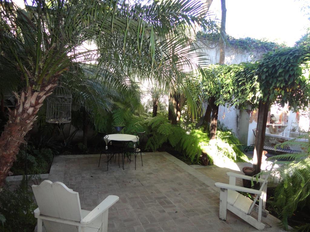 Cissus Hotel Boutique (Adults Only) Antigua Εξωτερικό φωτογραφία
