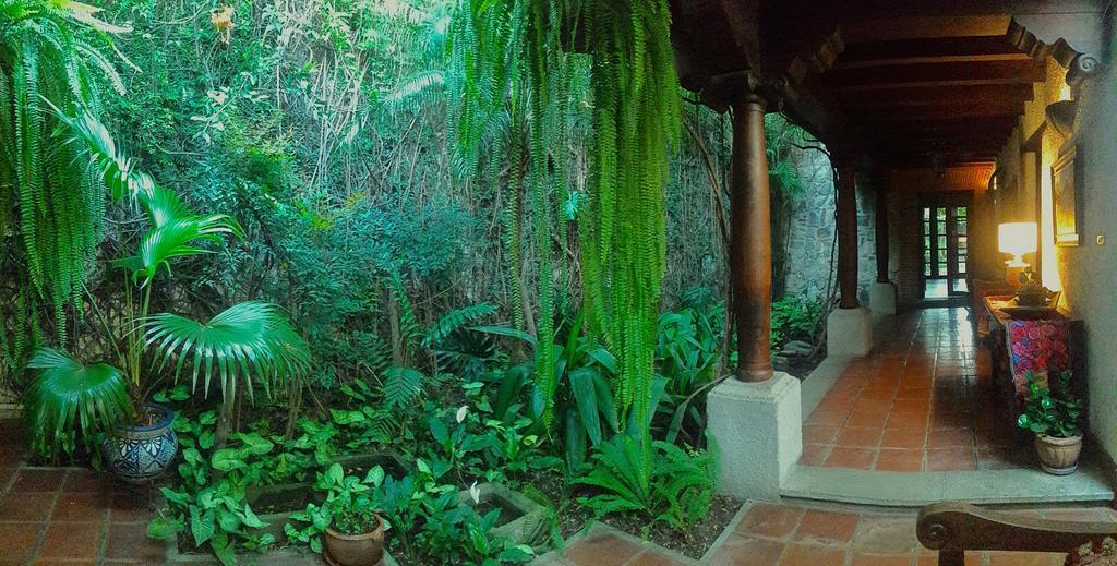 Cissus Hotel Boutique (Adults Only) Antigua Εξωτερικό φωτογραφία
