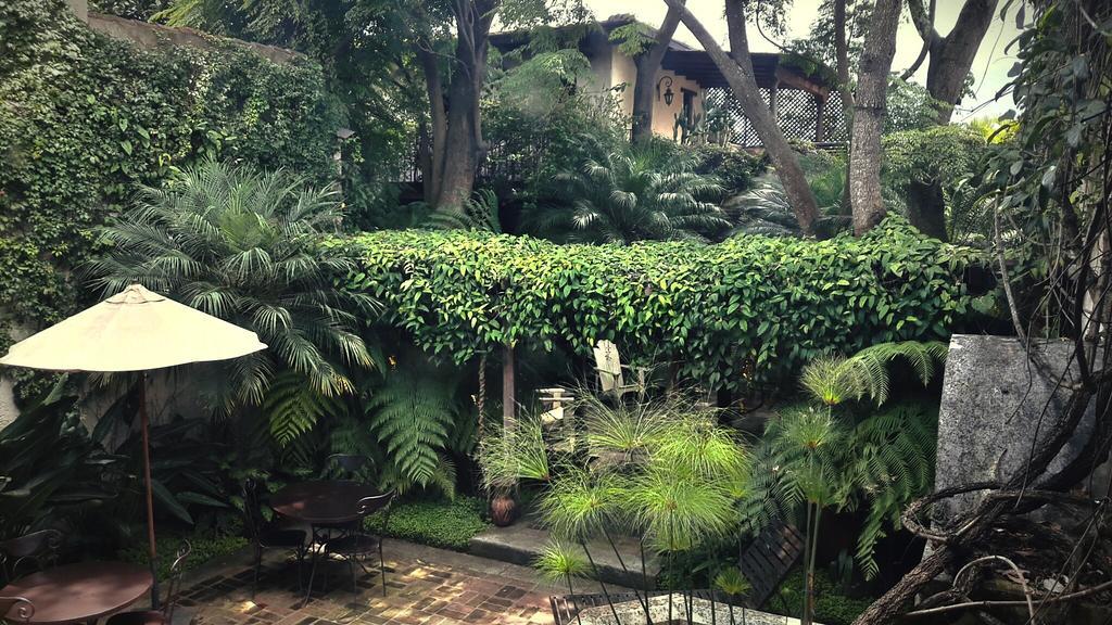 Cissus Hotel Boutique (Adults Only) Antigua Εξωτερικό φωτογραφία