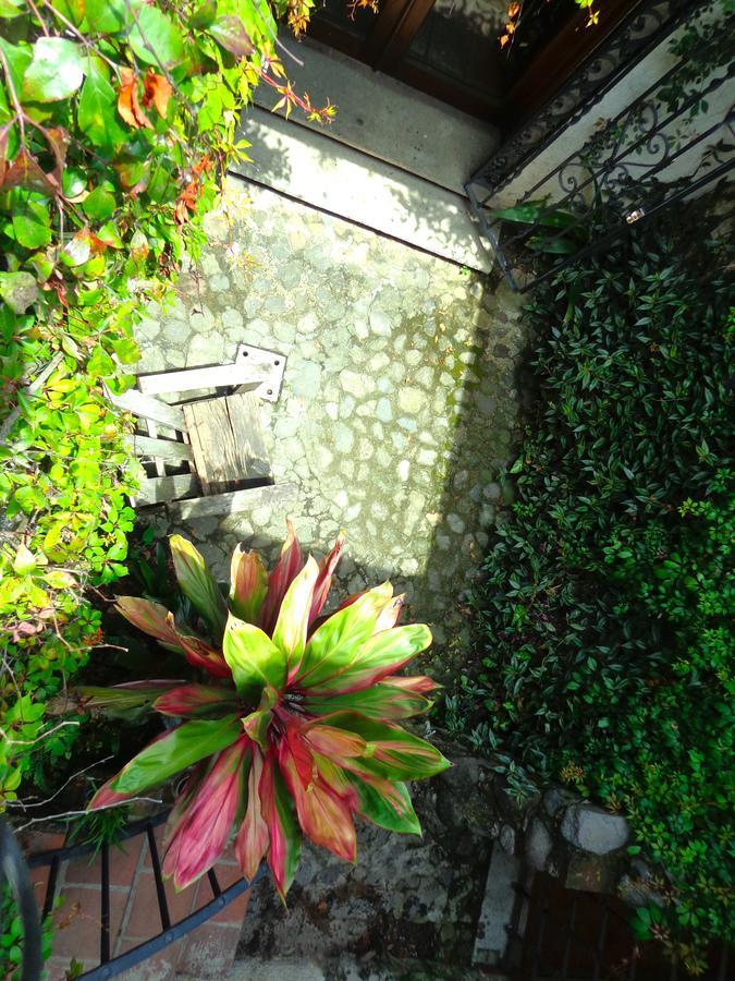 Cissus Hotel Boutique (Adults Only) Antigua Εξωτερικό φωτογραφία