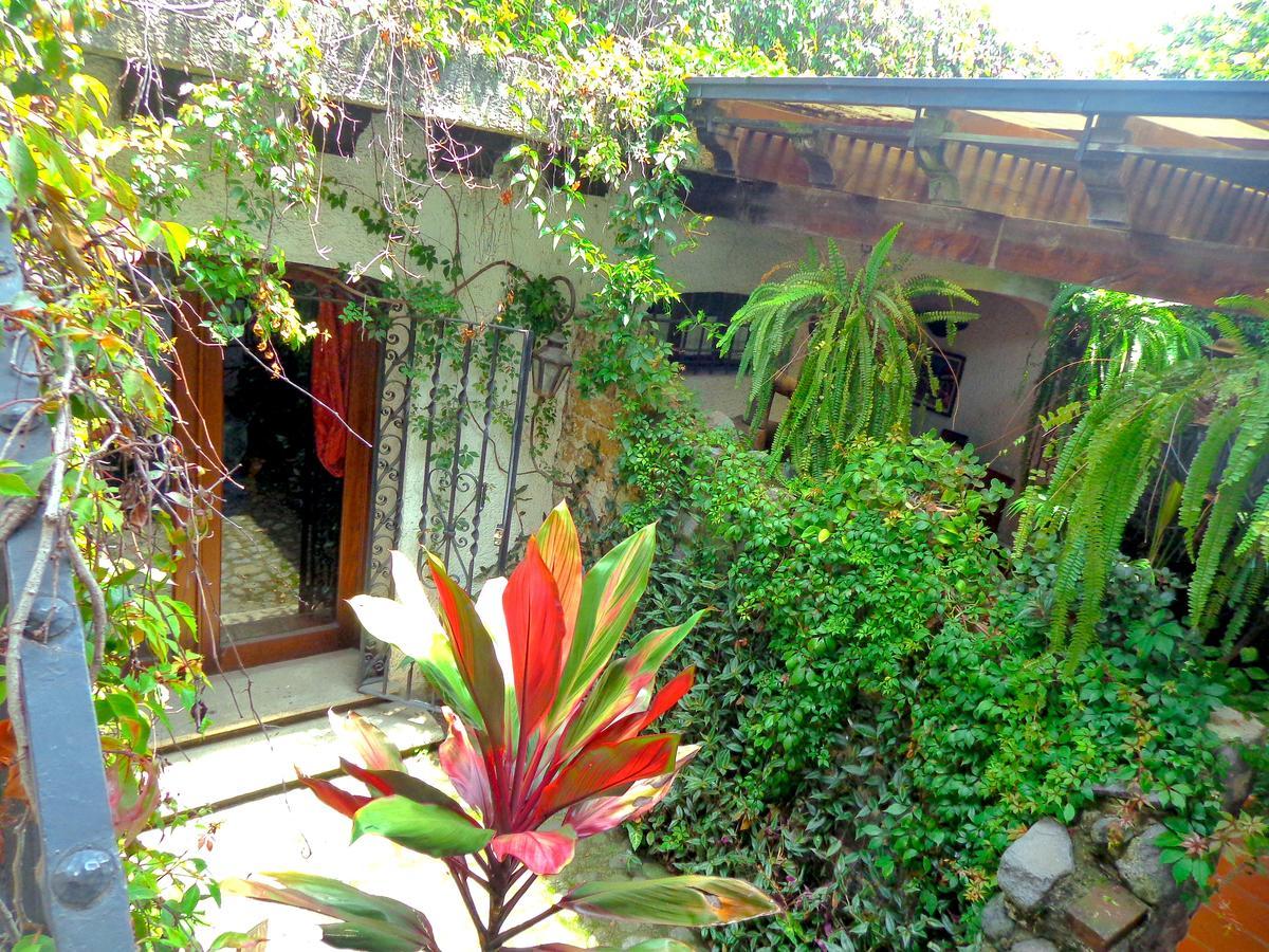 Cissus Hotel Boutique (Adults Only) Antigua Εξωτερικό φωτογραφία